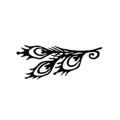 Theatrical false eyelashes - Peacock